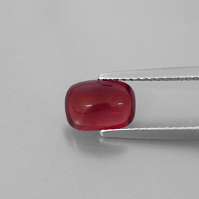 Grenat pyrope Rouge naturelle Transparent, 1.79 ct, Transparent / Translucide