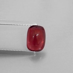 Grenat pyrope Rouge naturelle Transparent, 1.79 ct, Transparent / Translucide