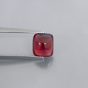 Grenat pyrope rouge naturelle transparent, 2,39 ct, transparent / translucide