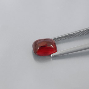 Grenat pyrope rouge naturelle transparent, 2,60 ct, transparent / translucide