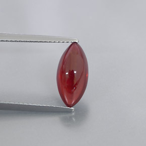 Grenat pyrope rouge naturelle transparent, 3,08 ct, transparent / translucide