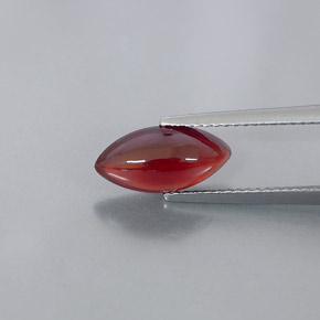 Grenat pyrope rouge naturelle transparent, 3,08 ct, transparent / translucide