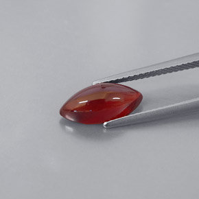 Grenat pyrope rouge naturelle transparent, 3,08 ct, transparent / translucide