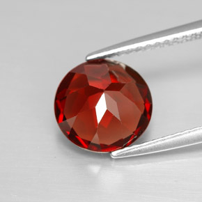 Grenat pyrope rouge naturelle coupe roude, 3,01 ct, VVS-VS