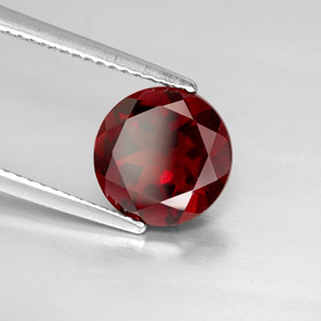 Grenat pyrope rouge naturelle coupe roude, 3,01 ct, VVS-VS