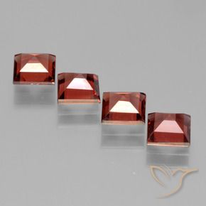 Shop natural 2.99ct Rouge moyen Grenat pyrope gems, Carré, from Mozambique at GemSelect. In stock, global shipping!