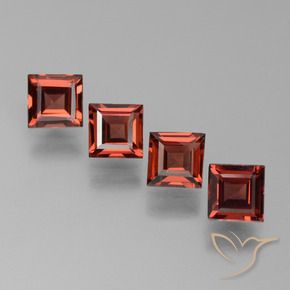 Shop natural 2.67ct Rouge moyen Grenat pyrope gems, Carré, from Mozambique at GemSelect. In stock, global shipping!