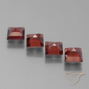 Shop natural 3.28ct Rouge moyen Grenat pyrope gems, Carré, from Mozambique at GemSelect. In stock, global shipping!