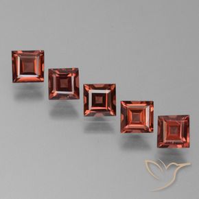 Shop natural 2.86ct Brique rouge Grenat pyrope gems, Carré, from Mozambique at GemSelect. In stock, global shipping!