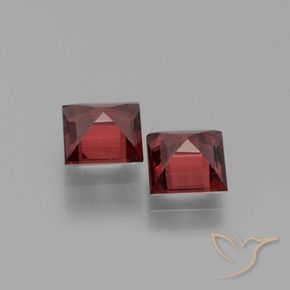 Shop natural 1.50ct Vin rouge profond Grenat pyrope gems, Carré, from Mozambique at GemSelect. In stock, global shipping!