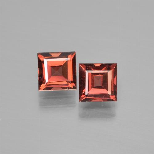 Achetez naturel 1.68ct Rouge moyen Grenat pyrope gems, Carré, En provenance Mozambique chez GemSelect. En stock, livraison internationale!