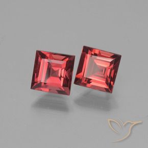 Shop natural 1.69ct Vin rouge profond Grenat pyrope gems, Carré, from Mozambique at GemSelect. In stock, global shipping!