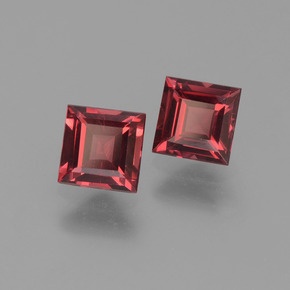 Achetez naturel 1.66ct Rouge foncé Grenat pyrope gems, Carré, En provenance Mozambique chez GemSelect. En stock, livraison internationale!