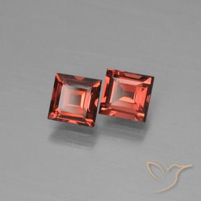 Shop natural 1.45ct Rouge écarlate Grenat pyrope gems, Carré, from Mozambique at GemSelect. In stock, global shipping!