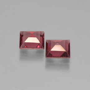 Achetez naturel 1.42ct Rouge moyen Grenat pyrope gems, Carré, En provenance Mozambique chez GemSelect. En stock, livraison internationale!