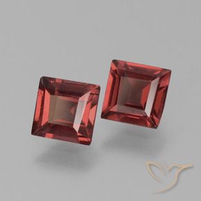 Shop natural 1.40ct Rouge écarlate profond Grenat pyrope gems, Carré, from Mozambique at GemSelect. In stock, global shipping!