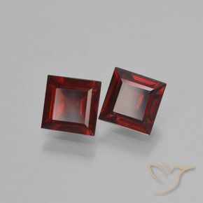 Achetez naturel 1.55ct Rouge foncé Grenat pyrope gems, Carré, En provenance Mozambique chez GemSelect. En stock, livraison internationale!
