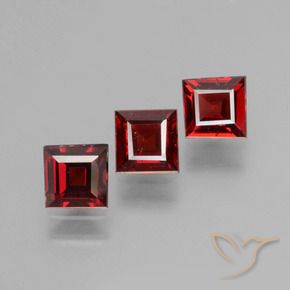 Shop natural 1.70ct Rouge sang profond Grenat pyrope gems, Carré, from Mozambique at GemSelect. In stock, global shipping!