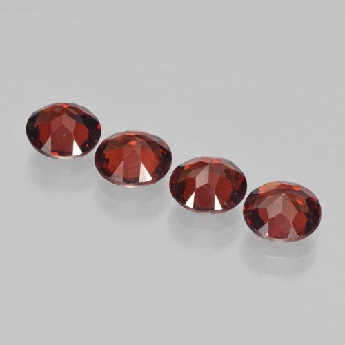 Achetez naturel 3.61ct Rouge sang Grenat pyrope gems, Coupe roude, En provenance Mozambique chez GemSelect. En stock, livraison internationale!