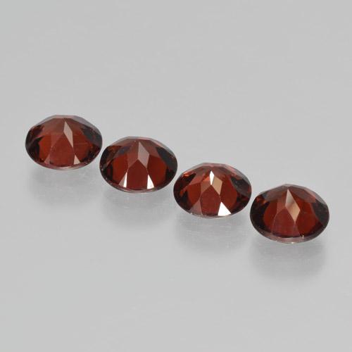Achetez naturel 4.03ct Rouge sang profond Grenat pyrope gems, Coupe roude, En provenance Mozambique chez GemSelect. En stock, livraison internationale!