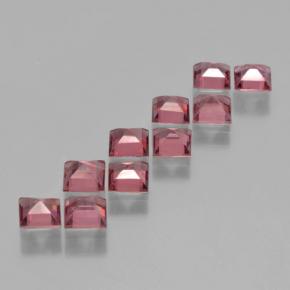 Achetez naturel 3.96ct Ton rouge framboise Grenat pyrope gems, Carré, En provenance Mozambique chez GemSelect. En stock, livraison internationale!