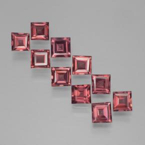 Achetez naturel 3,44ct rouge grenat pyrope gems, carré, en provenance mozambique chez gemselect. en stock, livraison internationale!