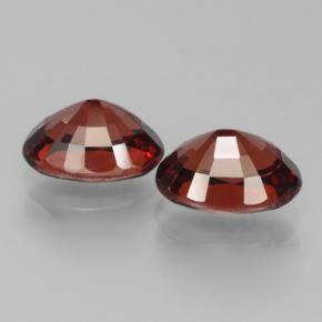 Achetez naturel 3.52ct Rouge foncé Grenat pyrope gems, Coupe ovale, En provenance Mozambique chez GemSelect. En stock, livraison internationale!