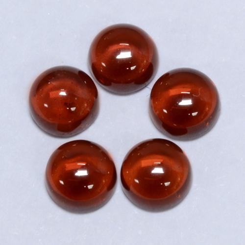 Achetez naturel 2.35ct Rouge moyen Grenat pyrope gems, Coupe roude, En provenance Mozambique chez GemSelect. En stock, livraison internationale!