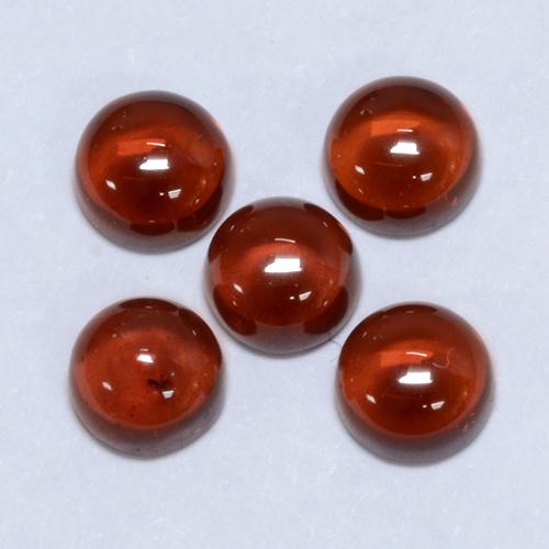 Achetez naturel 2.35ct Rouge moyen Grenat pyrope gems, Coupe roude, En provenance Mozambique chez GemSelect. En stock, livraison internationale!