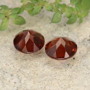 Achetez naturel 1.91ct Rouge moyen Grenat pyrope gems, Coupe roude, En provenance Mozambique chez GemSelect. En stock, livraison internationale!