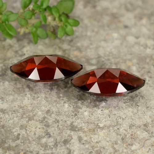 Shop natural 2.82ct Rouge foncé Grenat pyrope gems, Marquise, from Mozambique at GemSelect. In stock, global shipping!