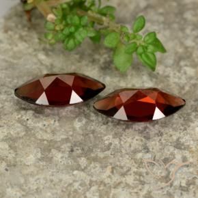Shop natural 2.25ct Rouge foncé Grenat pyrope gems, Marquise, from Mozambique at GemSelect. In stock, global shipping!