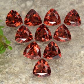 Achetez naturel 3.00ct Rouge vif Grenat pyrope gems, Trillion, En provenance Mozambique chez GemSelect. En stock, livraison internationale!