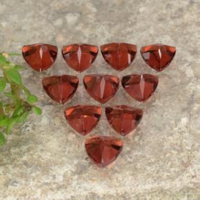 Achetez naturel 3.00ct Rouge vif Grenat pyrope gems, Trillion, En provenance Mozambique chez GemSelect. En stock, livraison internationale!