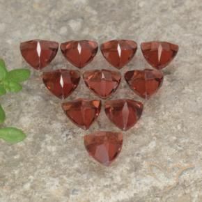Shop natural 3.20ct Brique rouge Grenat pyrope gems, Trillion, from Mozambique at GemSelect. In stock, global shipping!