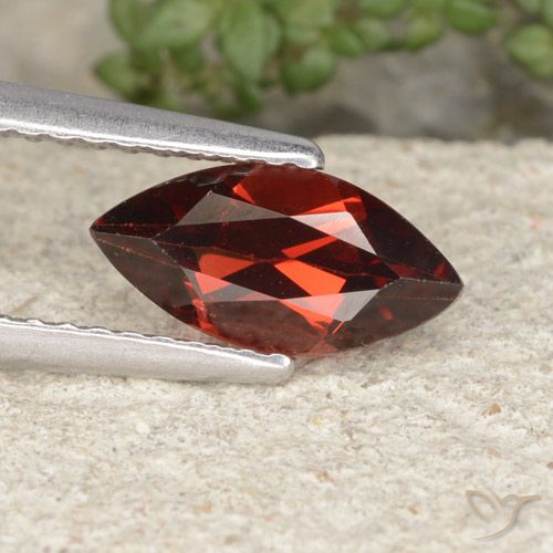 1.25ct Naturel Rouge foncé moyen Grenat pyrope, Marquise, VVS-VS