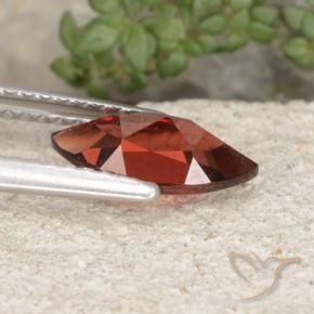 Grenat pyrope Rouge foncé moyen naturelle Marquise, 1.25 ct, VVS-VS