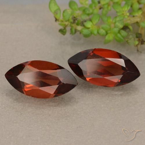 Shop natural 2.58ct Rouge sang profond Grenat pyrope gems, Marquise, from Mozambique at GemSelect. In stock, global shipping!