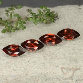 Shop natural 4.35ct Rouge foncé Grenat pyrope gems, Marquise, from Mozambique at GemSelect. In stock, global shipping!
