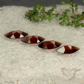 Shop natural 4.35ct Rouge foncé Grenat pyrope gems, Marquise, from Mozambique at GemSelect. In stock, global shipping!