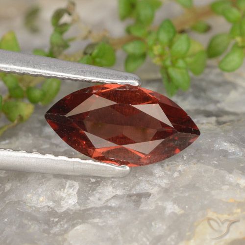 1.14ct Naturel Rouge foncé Grenat pyrope, Marquise, VS