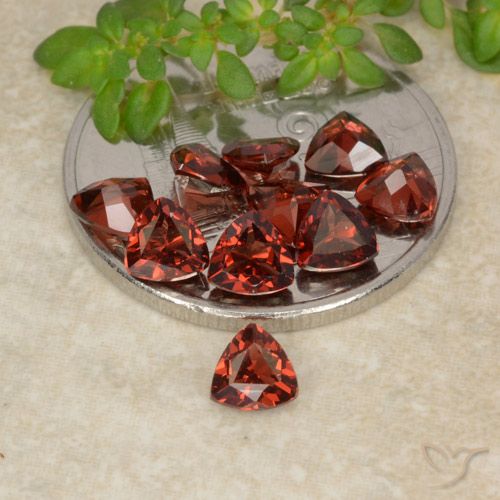 Achetez naturel 3.16ct Rouge écarlate profond Grenat pyrope gems, Trillion, En provenance Mozambique chez GemSelect. En stock, livraison internationale!