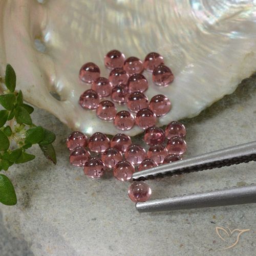 Achetez naturel 1.99ct Ton rouge écarlate Grenat pyrope gems, Coupe roude, En provenance Madagascar chez GemSelect. En stock, livraison internationale!
