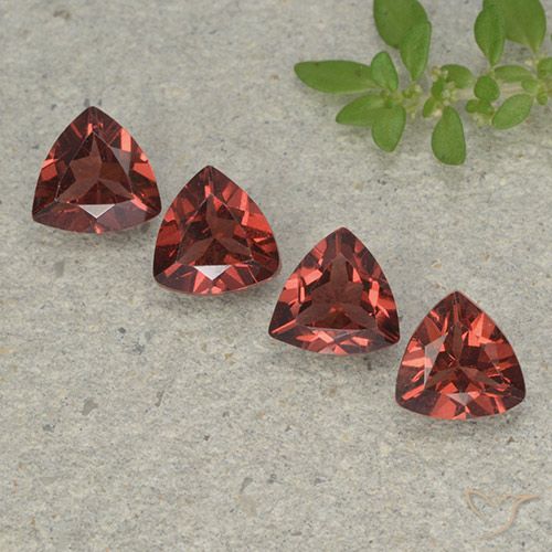 3.25ctw Naturel Rouge moyen-foncé Grenat pyrope, Trillion, VVS-VS
