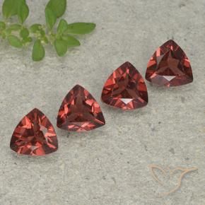 Shop natural 3.25ct Rouge moyen-foncé Grenat pyrope gems, Trillion, from Mozambique at GemSelect. In stock, global shipping!
