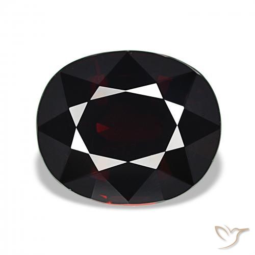 11.06ct Rouge foncé Grenat pyrope, ovale, VVS