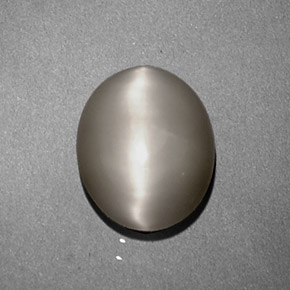 Quartz cat's eye crème naturelle coupe ovale, 1,97 ct, opaque