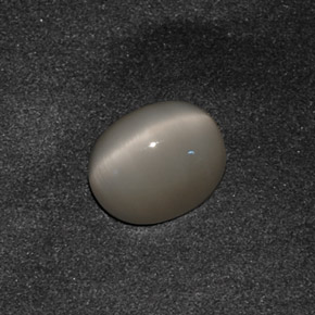 Quartz cat's eye gris naturelle coupe ovale, 3,42 ct, opaque