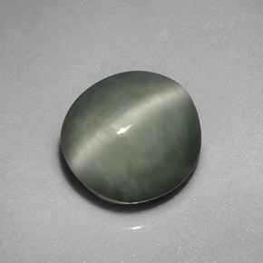 Quartz Œil de Chat Vert naturelle Coupe ovale, 4.99 ct, Opaque