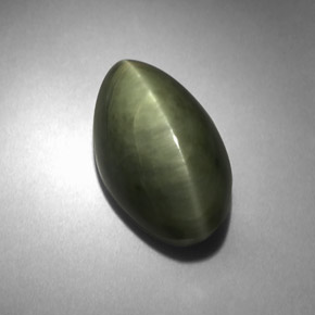 Quartz œil de chat vert naturelle marquise, 6,18 ct, opaque